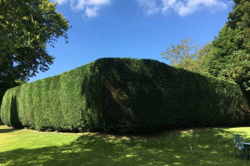 Commercial Garden Maintenance13