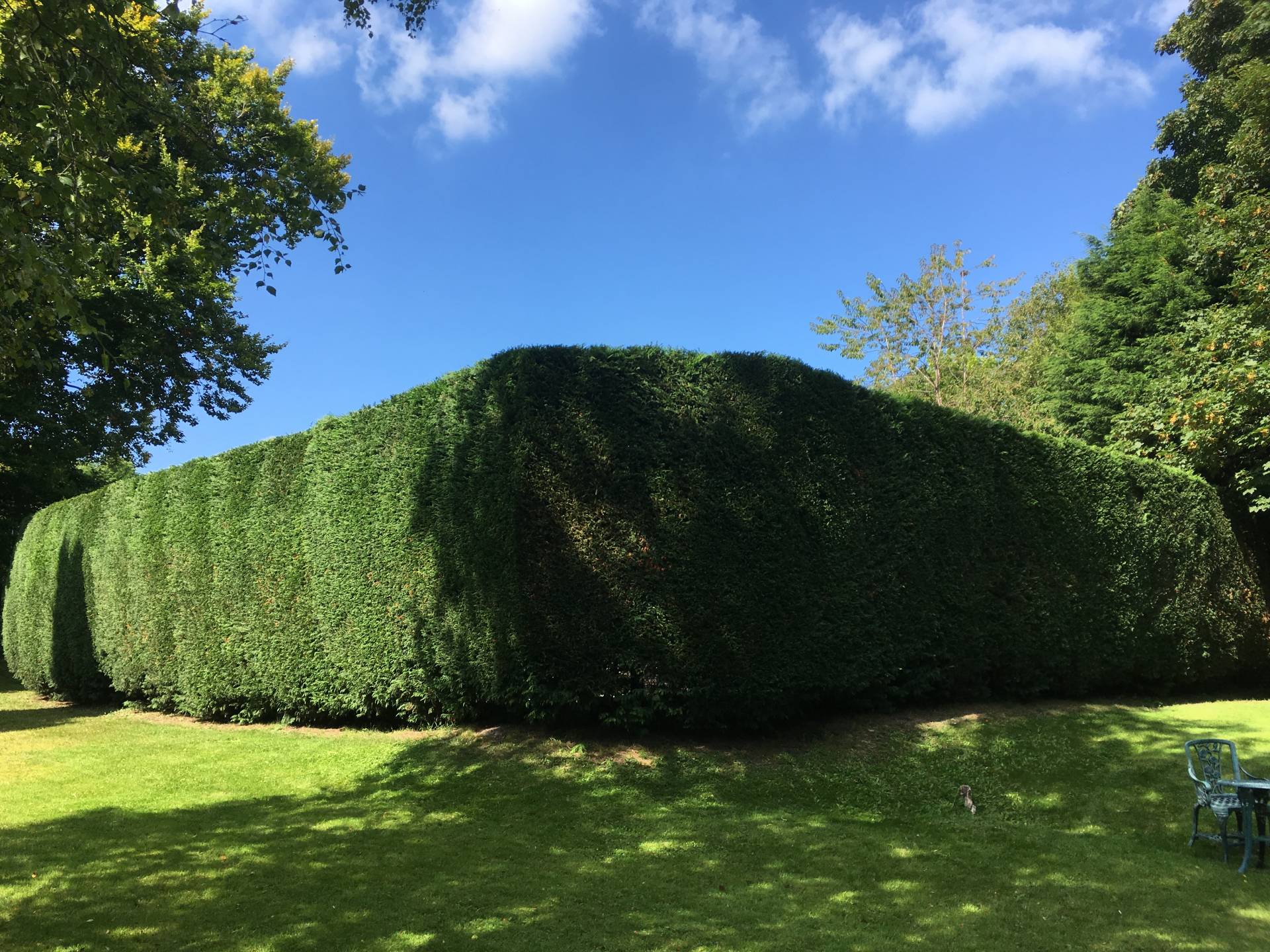 Commercial Garden Maintenance